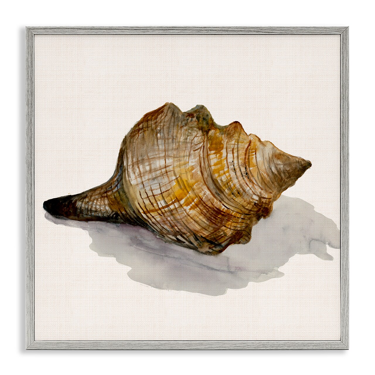 Stupell Industries Conch Shell on Beige Framed Giclee Wall Art Design by Jacob Q